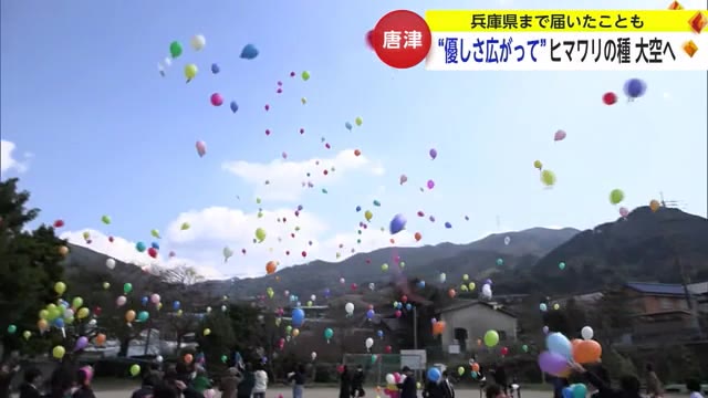 300個の風船が大空へ 小学生が人権の花「ヒマワリの種」飛ばす【佐賀県唐津市】