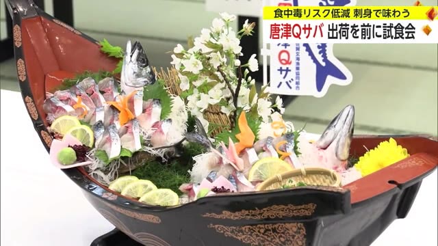 「唐津Qサバ」出荷前に試食会開催 イメージキャラクターを考えた小学生に賞品贈る【佐賀県唐津市】