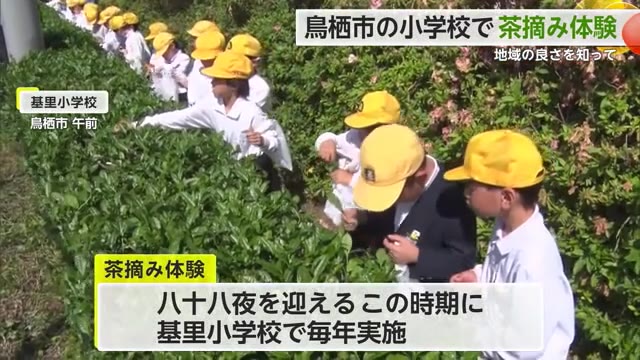 八十八夜を前に 鳥栖市の基里小学校で児童たちが「茶摘み体験」【佐賀県鳥栖市】