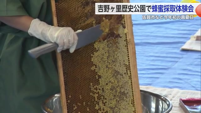 佐賀市で31.4℃ 今年初めての真夏日 吉野ヶ里歴史公園では親子で蜂蜜採取楽しむ【佐賀県】