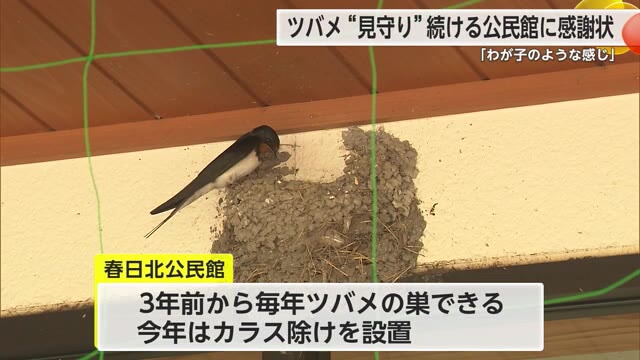 「カラスに襲われないように」ツバメの巣にカラス除けを設置しヒナを守る活動 感謝状贈呈【佐賀県】