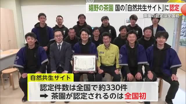 嬉野の茶園 国の「自然共生サイト」に認定 茶園の認定は全国初【佐賀県】