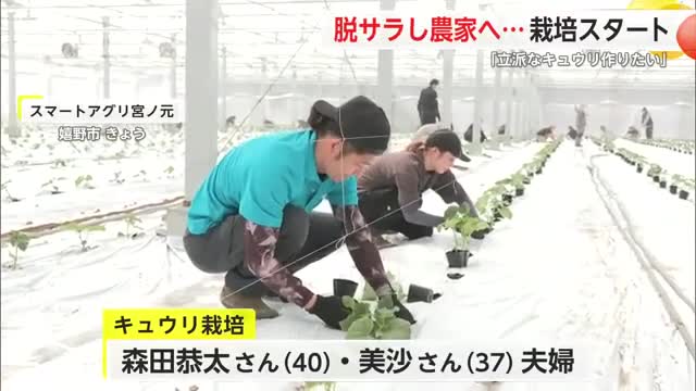 脱サラ移住夫婦がキュウリ栽培スタート苗4700本を植える【佐賀県】