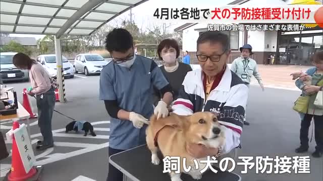 神妙な表情で注射受けるワンちゃんも 狂犬病の予防接種実施中【佐賀県】