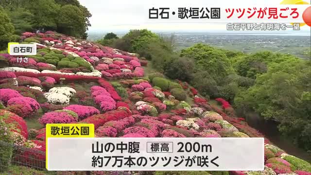 白石町の歌垣公園 ツツジが見ごろ 白石平野・有明海を一望【佐賀県】