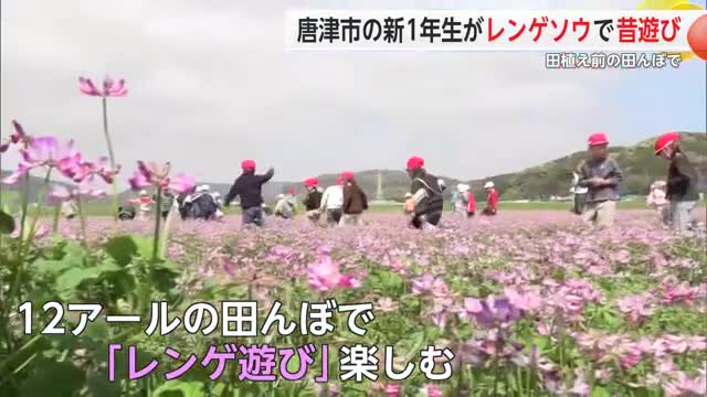 唐津市の新1年生がレンゲソウで昔遊び 田植え前の田んぼで【佐賀県】