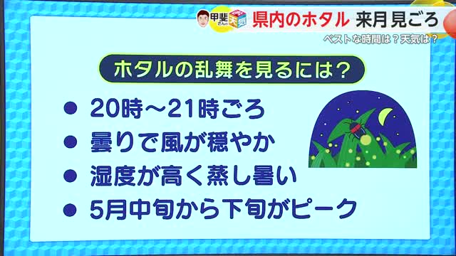 「ホタルの見頃について」5月5日ごろから飛び始める予想 気象予報士が解説【佐賀県】