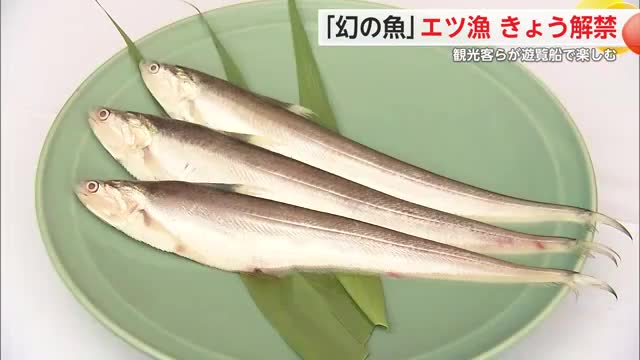 この時期限定の"エツ漁" 解禁 国内では有明海にのみ生息するという「幻の魚」【佐賀県】