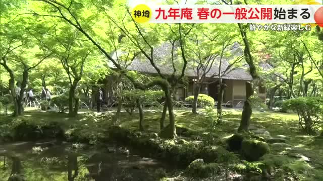国の名勝「九年庵」 春の一般公開 鮮やかな新緑を楽しむ【佐賀県】
