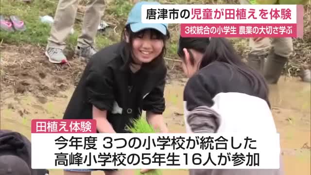 「農業の大切さを知って」児童が田植えを体験 3つの学校が統合した高峰小学校【佐賀県唐津市】