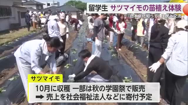 外国人留学生らがサツマイモの苗植え体験 地元の住民と交流【佐賀県鳥栖市】
