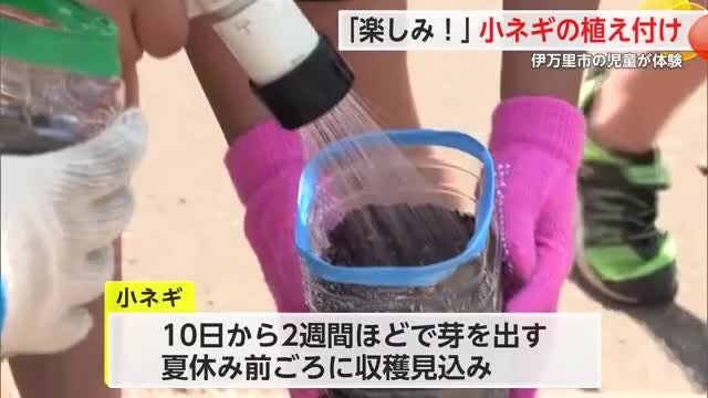 伊万里市の児童が小ネギの植え付け体験 地元の農業について学ぶ【佐賀県】