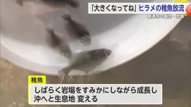 「地元の海を大切に」子供たちがヒラメの稚魚放流【佐賀県】