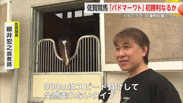 ハルウララの連敗記録更新の可能性 佐賀競馬の「パドマーワト」初勝利に挑む【佐賀県鳥栖市】