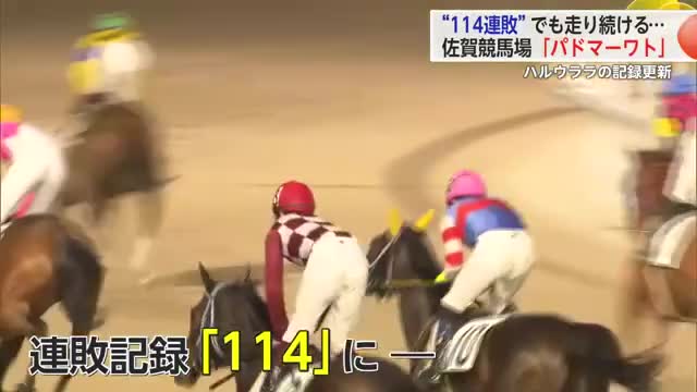 113連敗中の馬「パドマーワト」が“負け組の星”と言われた「ハルウララ」の連敗記録を抜く【佐賀県】