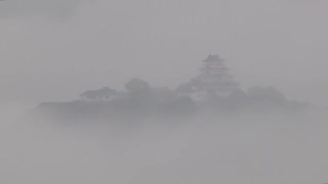 【動画あり】「天空城だ…」幻想的に浮かび上がる唐津城【佐賀県唐津市】