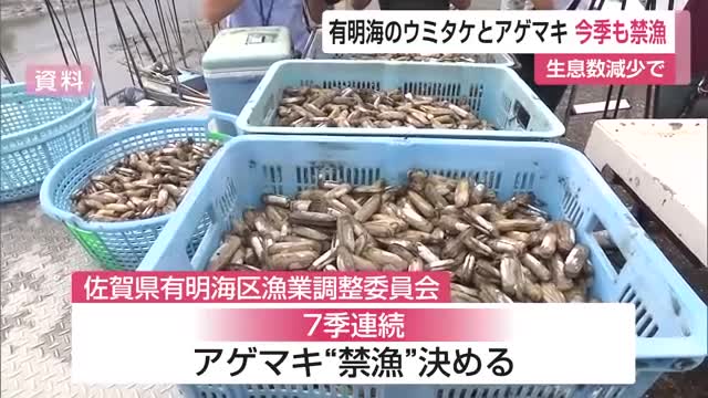 二枚貝アゲマキとウミタケ 今季も禁漁 資源回復のため禁漁続く【佐賀県】