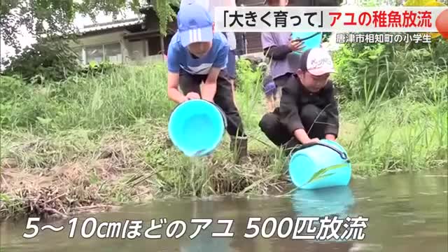 「地元に愛着を」漁の解禁日を前に アユの稚魚を放流 唐津市伊岐佐小の児童【佐賀県】