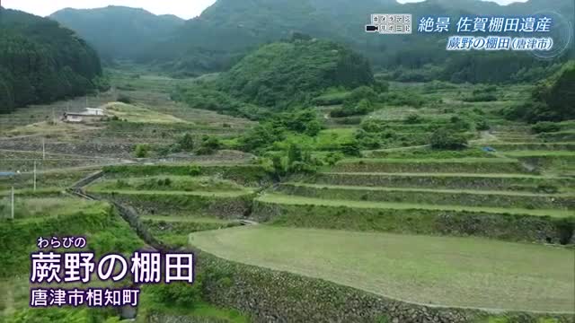 唐津「蕨野の棚田」国の重要文化的景観 日本一の高さを誇る石積み【佐賀県】