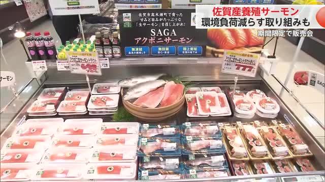 佐賀市で養殖のサーモン試験販売「SAGAアクポニサーモン」【佐賀県】