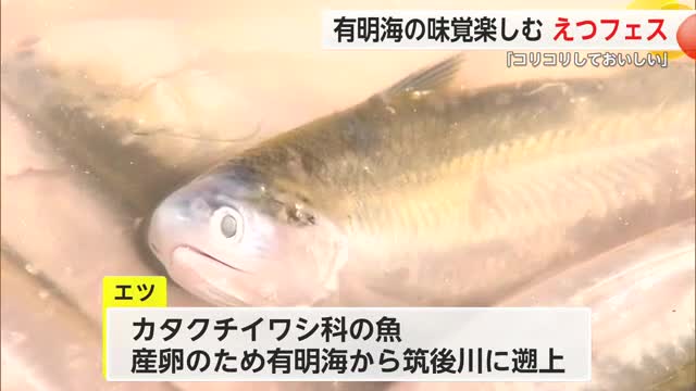 今が旬！有明海に生息する「えつ」に舌鼓【佐賀県】