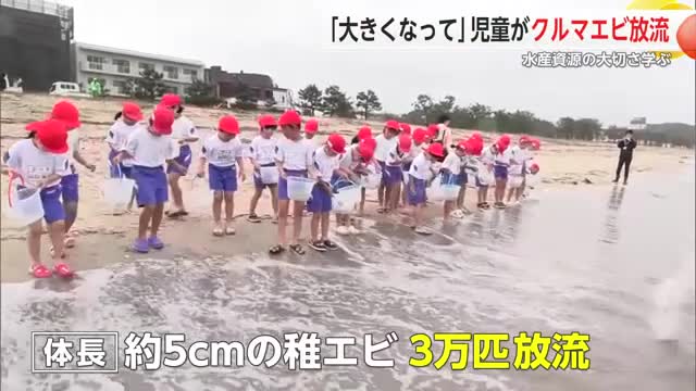 水産資源の大切さを学んで 小学生がクルマエビの稚エビを放流【佐賀県唐津市】