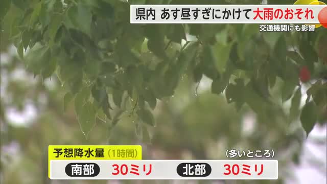 25日昼過ぎにかけ大雨のおそれ 土砂災害に警戒を JR一部区間で遅れ発生【佐賀県】