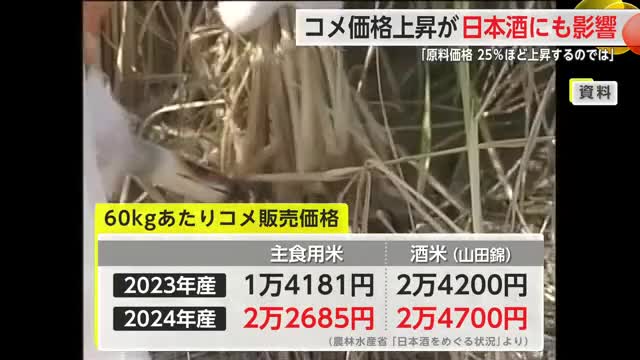 コメの価格高騰が日本酒造りにも影響 酒米から主食用に切り替えも【佐賀県】
