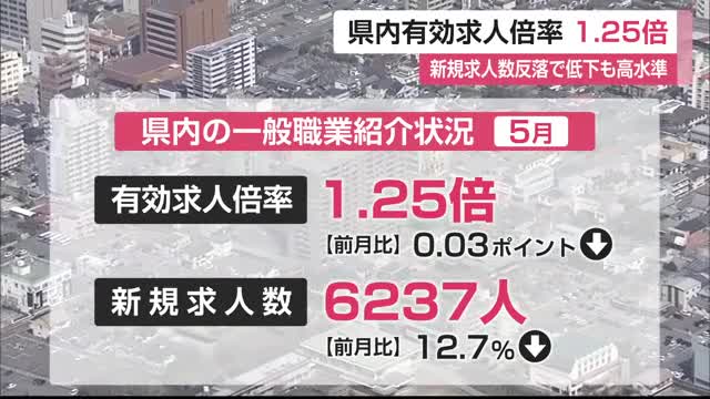 県内有効求人倍率 1.25倍 新規求人数反落で低下も高水準【佐賀県】
