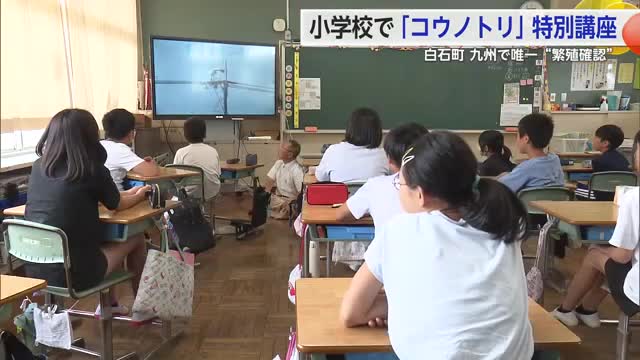 小学校で「コウノトリ」特別講座 白石町は九州で唯一“繁殖確認”【佐賀県】