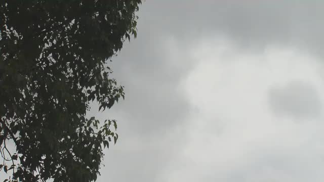 佐賀県は11日朝にかけ「線状降水帯」発生の恐れ 大雨災害発生の危険度 急激に高まる可能性も