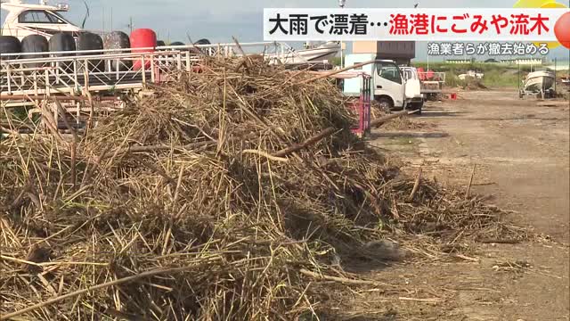 大雨で漂着 佐賀市の戸ケ里漁港にヨシや流木など大量のごみ【佐賀県】