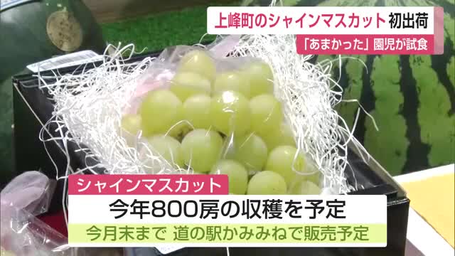 シャインマスカット「道の駅かみみね」に初入荷 地元の園児が試食 上峰町の新たな名産品に【佐賀県】