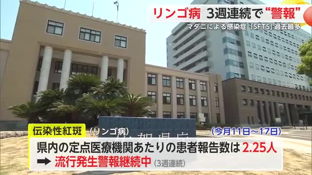 「リンゴ病」警報継続中 マダニによる感染症も注意！【佐賀県】