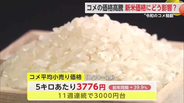 新米販売開始 県内のコメの価格と気になる今後は…？【佐賀県】