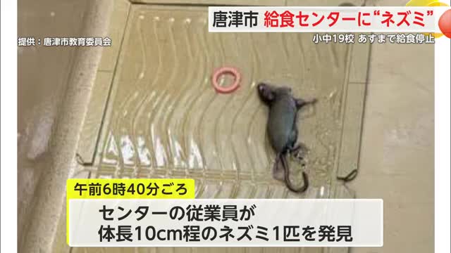 ネズミ捕獲で19校給食停止 唐津市東部学校給食センター【佐賀県】
