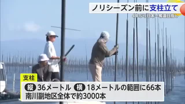 ノリ養殖シーズン前に支柱立て 10月下旬から11月上旬ごろに種付け【佐賀県】