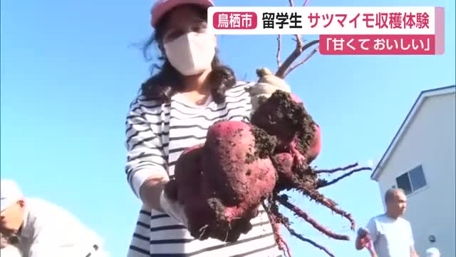 「甘くておいしい」留学生がサツマイモ収穫体験 日本語学校と地域の人が交流【佐賀県】