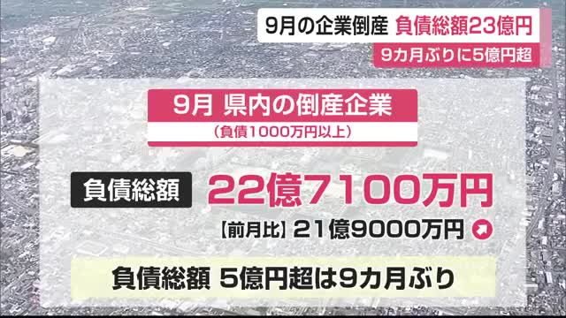 9月の企業倒産 負債総額23億円 9カ月ぶり5億円超 業歴ある企業倒産が増加傾向に【佐賀県】