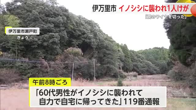 ”体長約1.5メートル”イノシシに60代男性が襲われ病院へ搬送【佐賀県伊万里市】