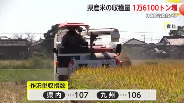 佐賀県産米 収穫量1万6000トン増 新品種「ひなたまる」で収量増も影響 作況単収指数107【佐賀県