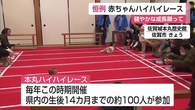 寄り道タイプや追い上げタイプ　個性いろいろ　恒例本丸ハイハイレース【佐賀県】