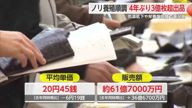 佐賀県産ノリ 3回目の入札会 順調に推移し販売額は去年よりも多い約61億7000万円【佐賀県】