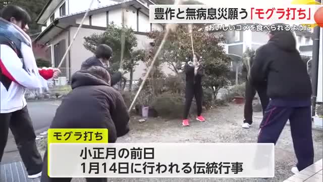 「作物の豊作を願って」小正月前の伝統行事 モグラ打ち【佐賀県】