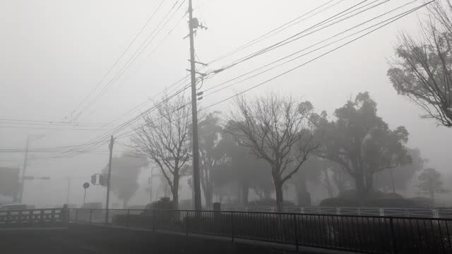 県内に濃霧 視程障害に注意を 交通機関への影響も【佐賀県】