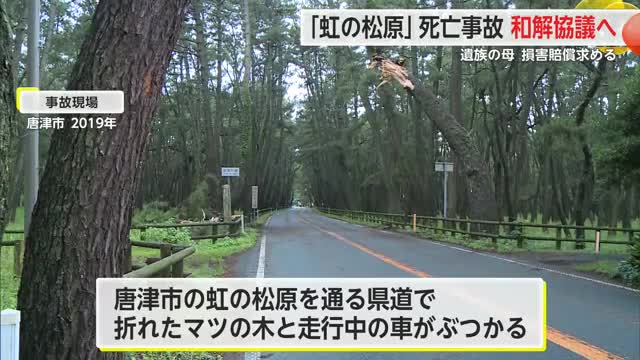 虹の松原・倒木で小５死亡事故　遺族の母と国・県などが和解協議へ【佐賀県】