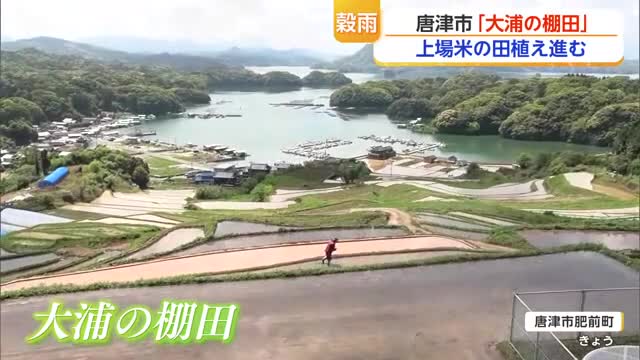 唐津市「大浦の棚田」田植え始まる 20日は穀物を潤す恵みの雨が降る「穀雨」【佐賀県】
