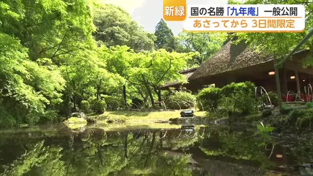 国の名勝・九年庵 3日間限定公開 140本のモミジと40種のコケが織りなす新緑の世界【佐賀県】