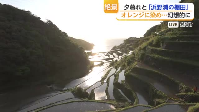 「オレンジ色に輝く」玄海町・浜野浦の棚田に沈む夕陽の絶景【佐賀県】