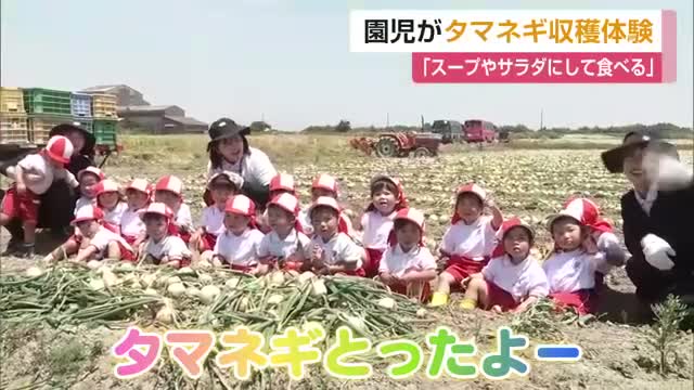 「タマネギとったよー」みやき町の園児85人が1000個を収穫　2歳から5歳が畑で体験【佐賀県】
